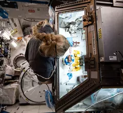 NASA astronaut Kate Rubins conducts research for the Effect of Microgravity on Drug Responses Using Engineered Heart Tissues (Cardinal Heart) investigation onboard the International Space Station, one of several cardiovascular experiments on the ISS in recent years. Two more cardiac experiements launched to the ISS in March 2023. NASA Image