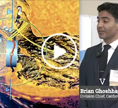 Video of Brian Ghoshhajra, MD, Mass General, explaining some of the top trends in cardiac CT from SCCT 2023 meeting. #SCCT #SCCT23 #SCCT2023 #YesCCT