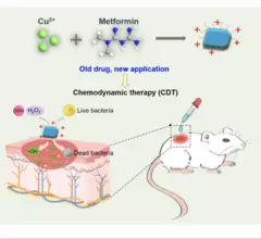 metformin chemodynamic therapy type 2 diabetes Nano Research