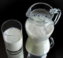 milk dairy products 