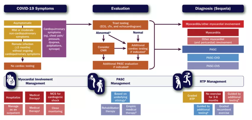 ACC issued an expert consensus document on evaluating the cardiovascular impacts of long COVID. It offers pathways for clinicians to follow based on the patients symptoms and text results. 